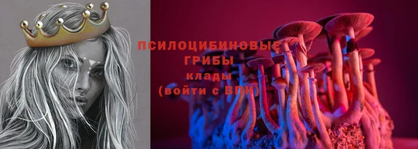 альфа пвп Куйбышев