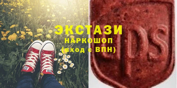 прущие грибы Барнаул